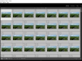 Select all frames