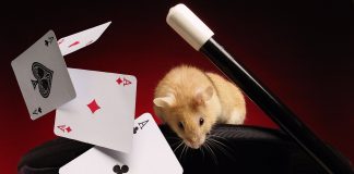 Migrating Filesystems with Active Processes Migrating Filesystems with Active Processes