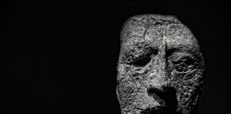 Occupy Subnet Occupy Subnet