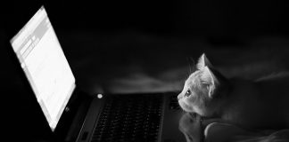 Monitoring NetBackup Daemons