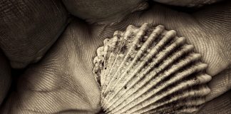 Gather MX Records for a List of Domains Gather MX Records for a List of Domains