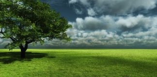 Nohup Without Nohup.out Nohup Without Nohup.out