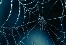 Keeping Abreast with Filesystem Changes