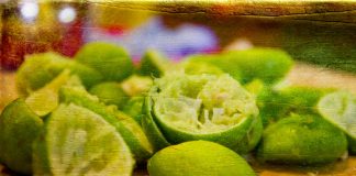 File Compression Testing