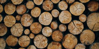 Sending Windows Logs to Remote Syslog