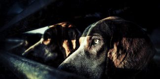 Verifying SNMP Connectivity on Multiple Hosts