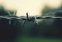 Bulk-Adding IPTables Rules