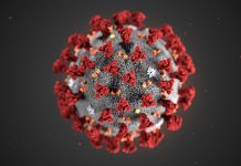 The Coronavirus Discussion