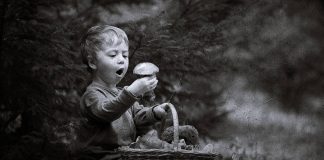 Useful WordPress Plugins