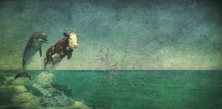 Convert XLSX to a MySQL Table