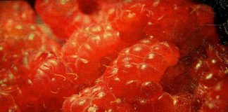 Clone Raspberry Pi SD to Larger Card