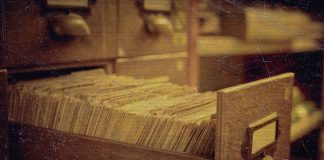 Using Variables in Bash