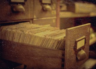 Using Variables in Bash