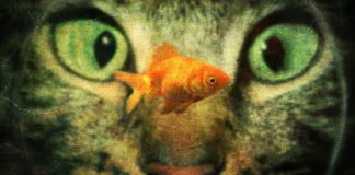 NFS I/O Stats with Logging