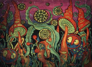 Generating Honeypot Data Structure